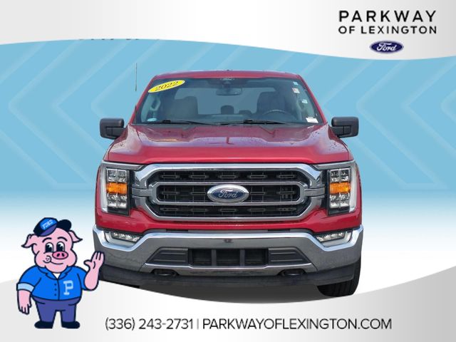 Used 2022 Red Ford XLT image 8