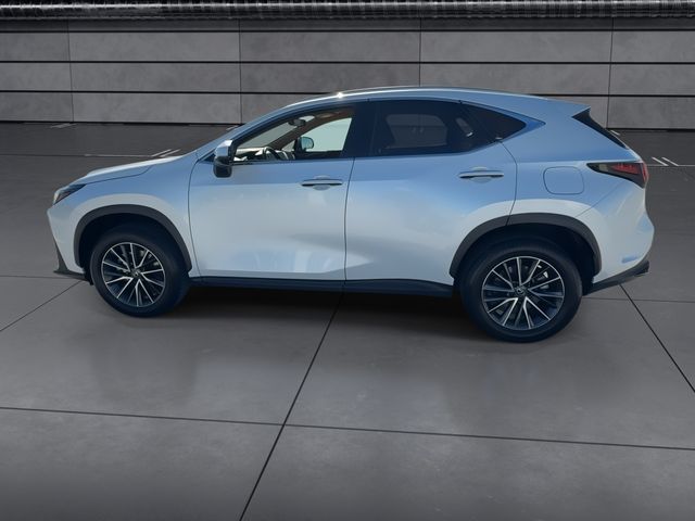 2024 Lexus NX - $38,588