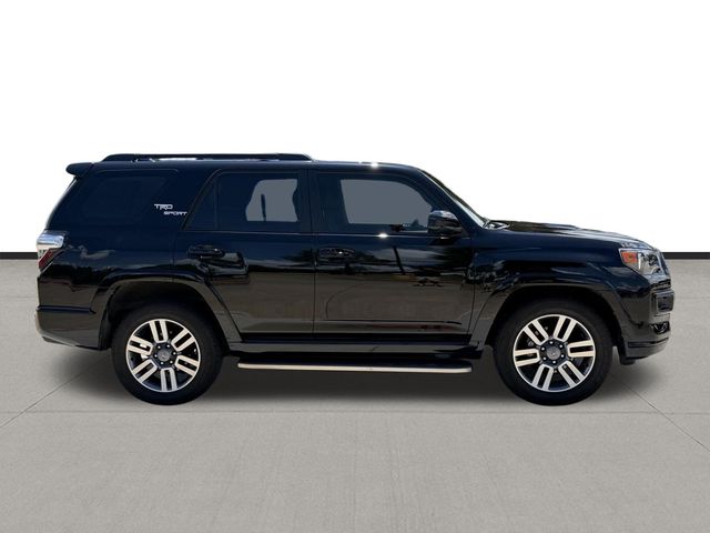 2023 Toyota 4Runner TRD Sport - 3