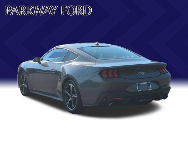 Used 2024 Gray Ford EcoBoost image 3