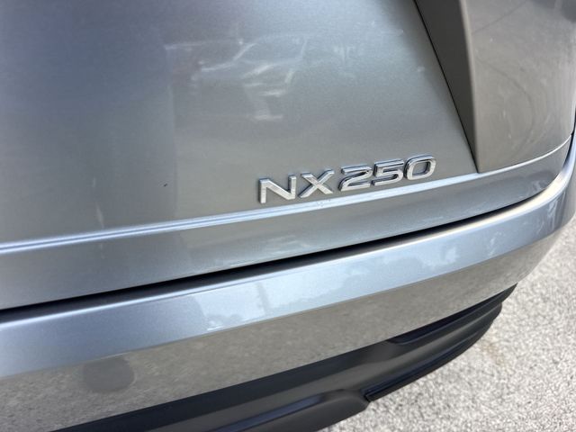 Used 2023 Lexus NX SUV