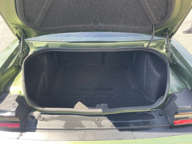 2022 Dodge Challenger R/T - Green exterior view 11