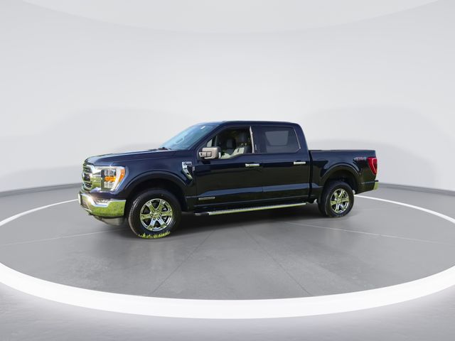 Used 2023 Blue Ford XLT image 4