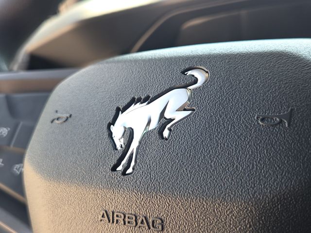 New 2025 Gray Ford Base image 24