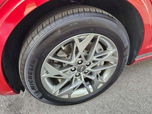 Used 2025 Red Genesis 2.5T image 8