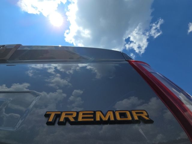 2023 Ford F-150 Tremor:169051A