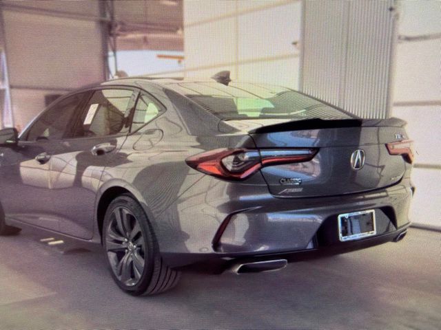 car-gallery-4