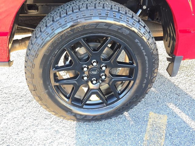Photo of 2024 Ford F-150 STX in Dallas, GA - 11,  2024 Ford F-150 STX:167640A