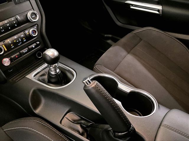 2019 Ford Mustang GT Red at Grove City Ford