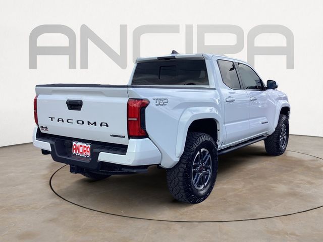 Used Car 2025 Toyota Tacoma Hybrid  Trd Sport For Sale Under $50,000 In San Antonio, Texas