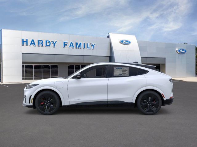 2025 Ford Mustang Mach-E GT:168811