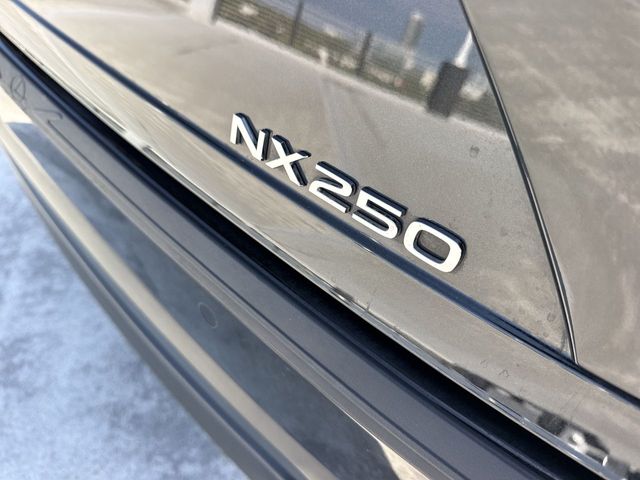 2024 Lexus NX - $39,998