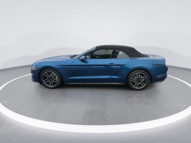 Used 2022 Blue Ford EcoBoost Premium image 5