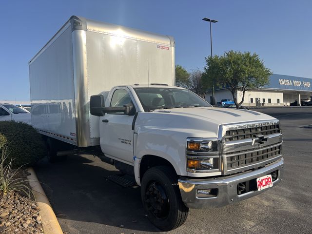 New Car 2024 Chevrolet Silverado 1500  Work Truck For Sale Under $80,000 In San Antonio, Texas