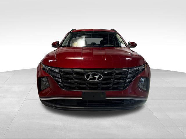 2024 Hyundai Tucson SEL Red at Stokes Mazda