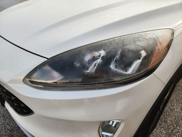 2020 Ford Escape SEL White at DeMontrond Ford