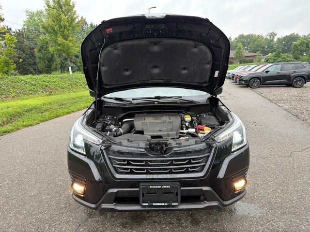2023 Subaru Forester Premium Black at Rafferty Subaru