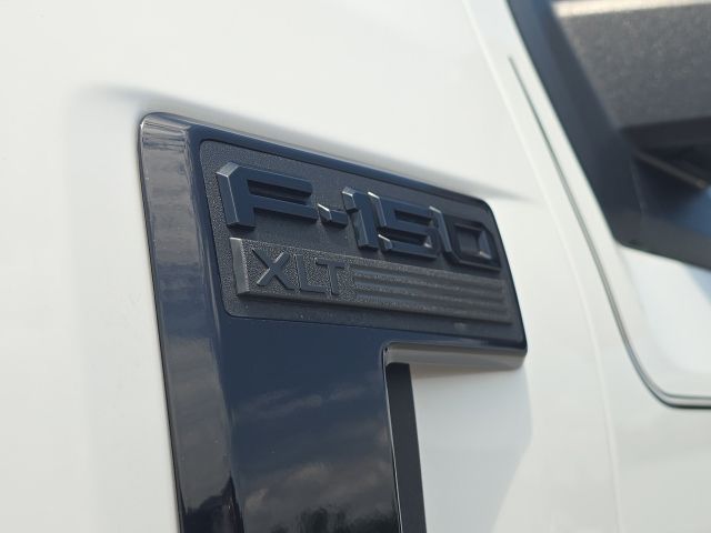 2024 Ford F-150 XLT:B02484