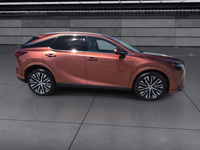 2025 Lexus RX
