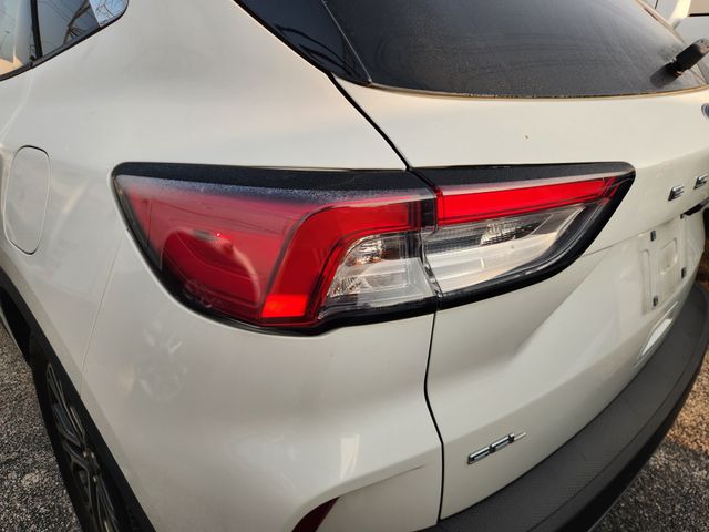 2020 Ford Escape SEL White at DeMontrond Ford