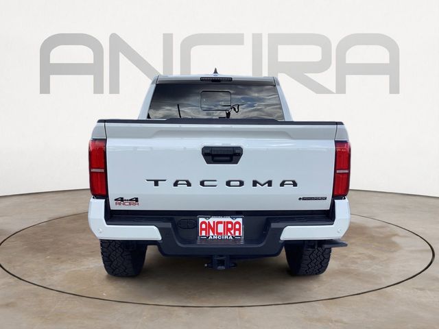 Used Car 2025 Toyota Tacoma Hybrid  Trd Sport For Sale Under $50,000 In San Antonio, Texas