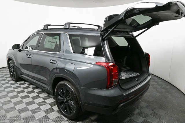 Palisade XRT