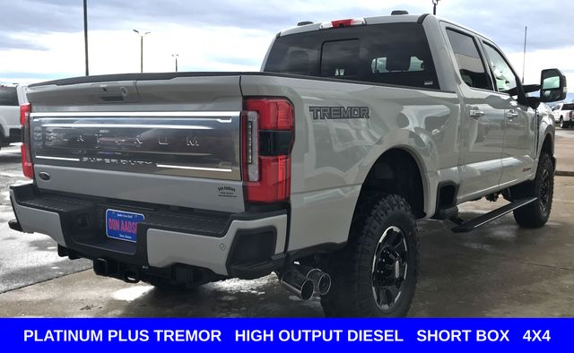 New 2026 Gray Ford Platinum image 35