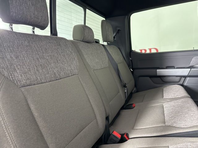 2025 Agate Black Metallic Ford F-150 XLT 4X4 Truck