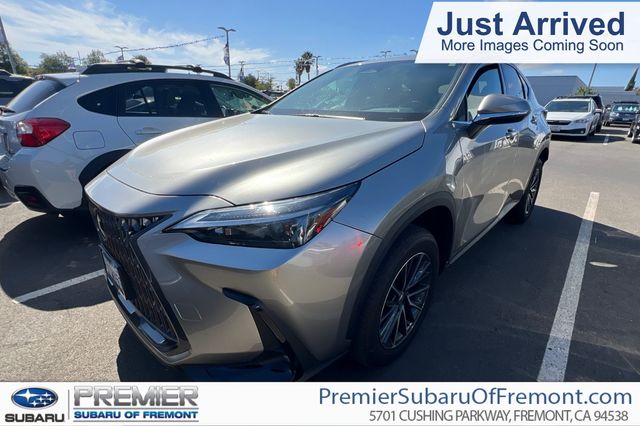 2024 Lexus NX