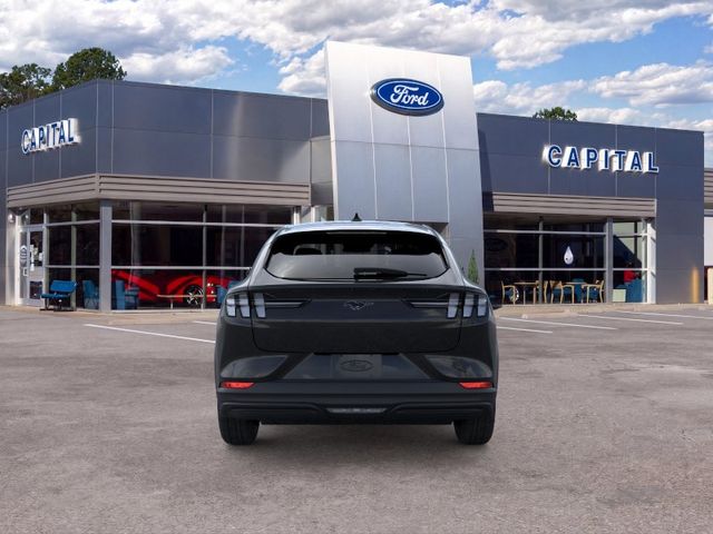 New 2026 Black Ford Premium image 5