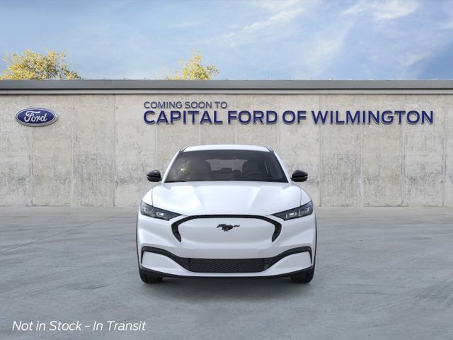 New 2026 White Ford Select image 6