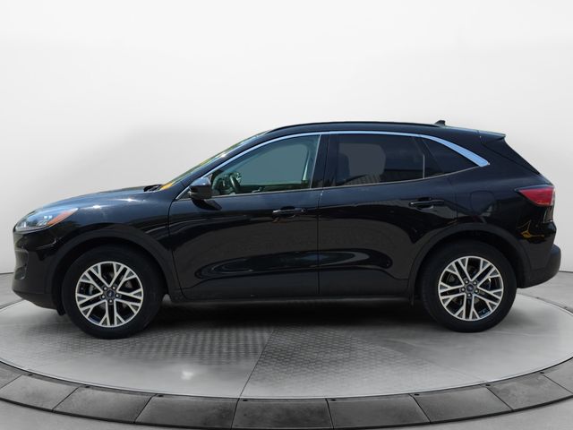 FordEscape2