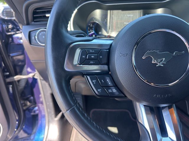 2019 Ford Mustang GT Premium - Photo 19