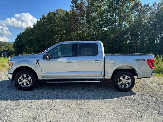 Used 2023 Silver Ford XLT image 4