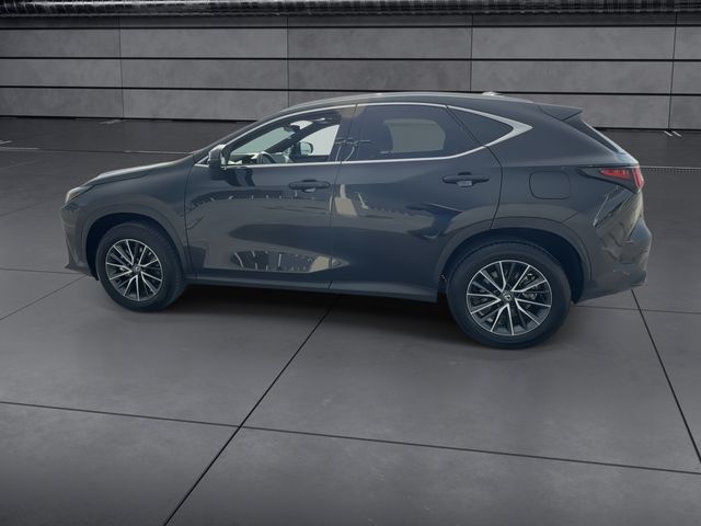 2025 Lexus NX - $47,998