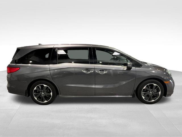 2024 Honda Odyssey Elite Gray at Stokes Honda North