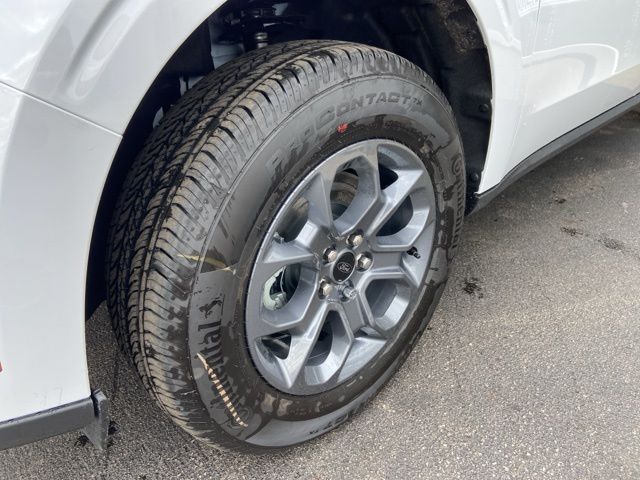 2025 Ford Maverick XLT - 5