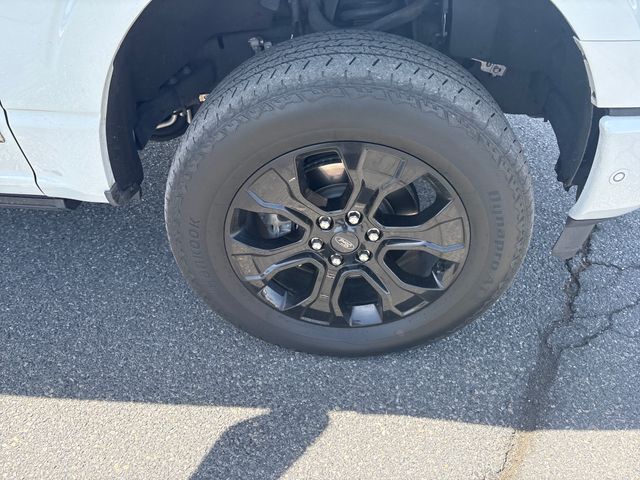 used 2023 Ford F-150 car, priced at $60,000