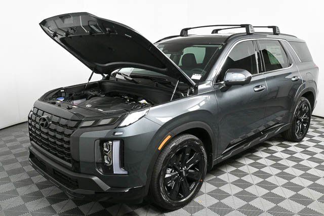 Palisade XRT