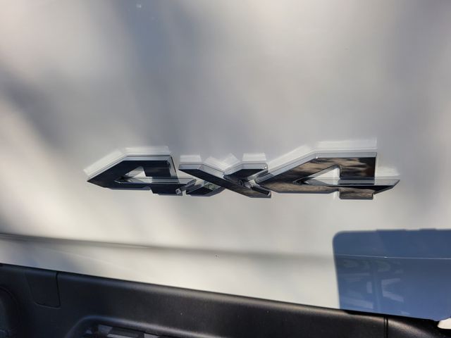 New 2026 White Ram Tungsten image 14