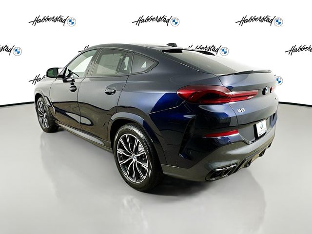 2025 BMW X6  7