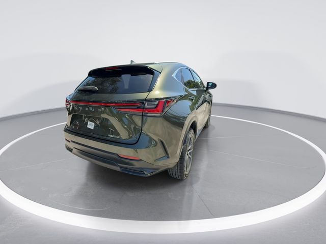 2025 Lexus NX - $40,998