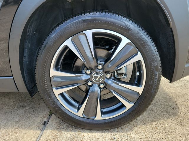 2025 Lexus UX 300h - 10