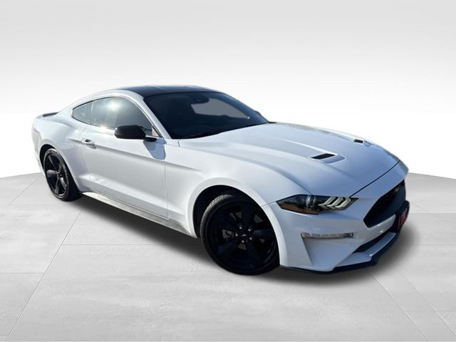 2023 Ford Mustang EcoBoost Fastback RWD