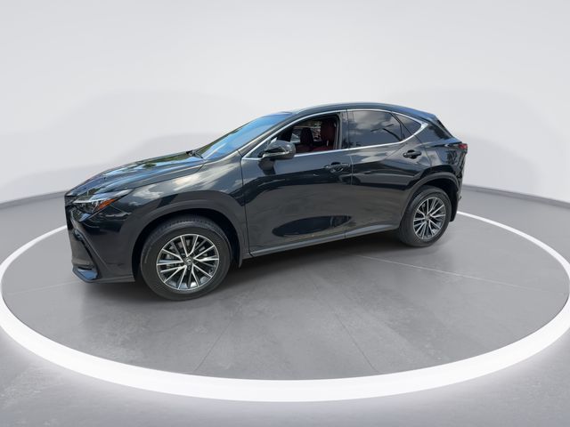 Used 2025 Lexus NX SUV