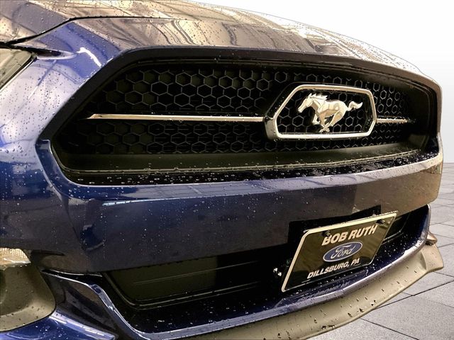 2015 Ford Mustang GT 50 Years Limited Edition Blue at Grove City Ford
