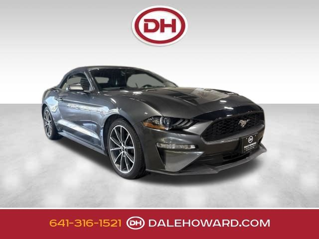 Gray (Magnetic) 2019 Ford Mustang Convertible Rear-Wheel Drive Automatic