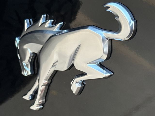 New 2025 Black Ford Badlands image 10