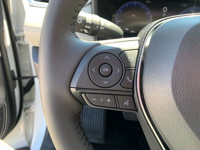 Used 2025 Toyota RAV4 SUV
