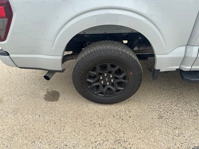 2024 White Ford F-150 XLT 4X4 Truck